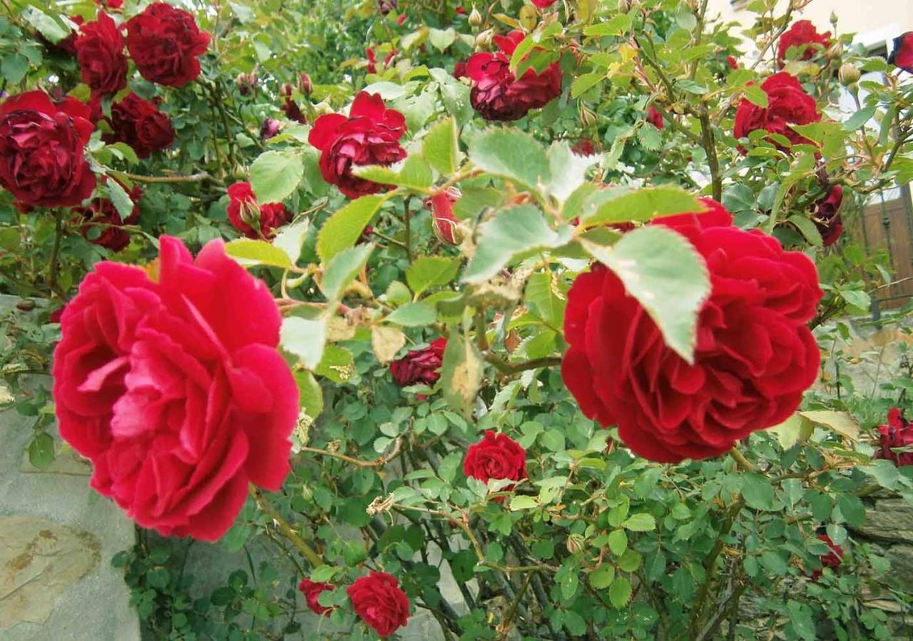 B&B S'Arrosa Antiga Santadi 外观 照片